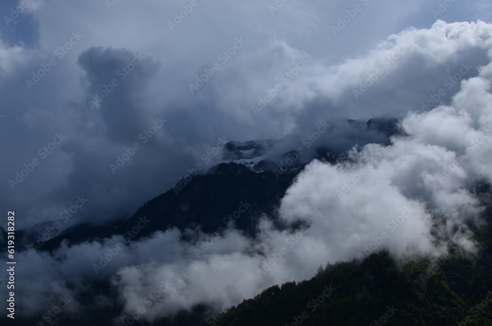 Picturesque view of mountains with forest covered by mist