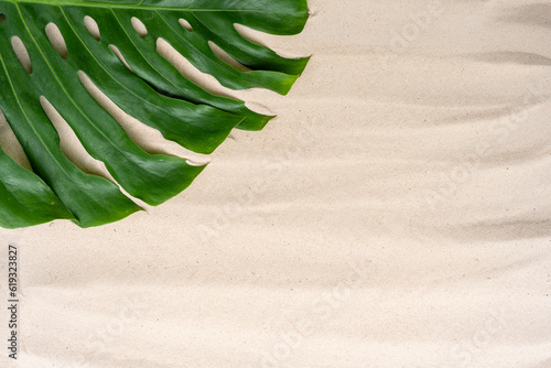Green leaf on sandy background.