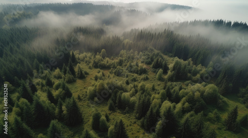 Aerial view of foggy forest in the morning. Drone photography © Barosanu