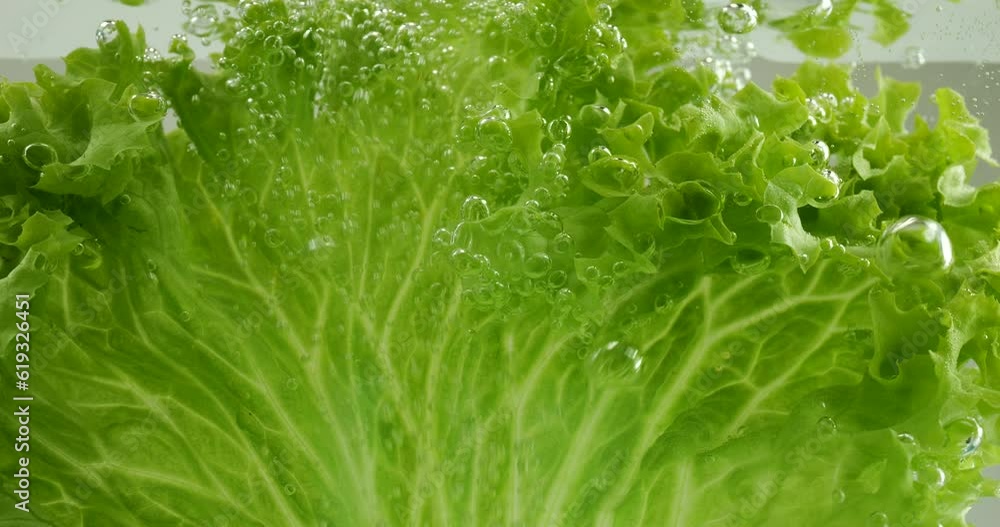 Lettuce leaves under water in air bubbles. Lettuce leaves under water in air bubbles.
