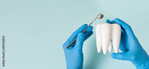 Health dental care concept. Dentist holds white healthy tooth model in his hands on a blue background. Teeth whitening, dental oral hygiene, teeth restoration, implant concept, dentist day. Copy space