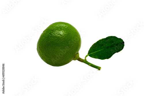 Juicy slice of lime isolated on png background
