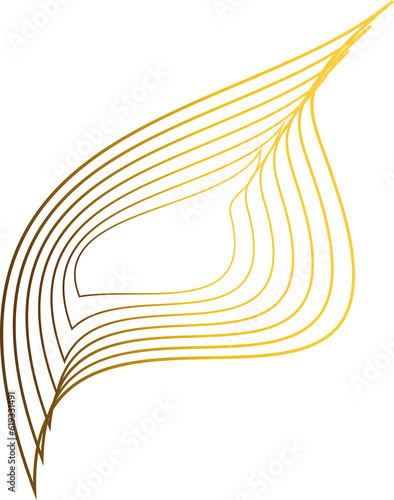 luxury abstract gold floral ornament