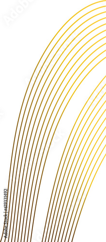 luxury abstract gold floral ornament