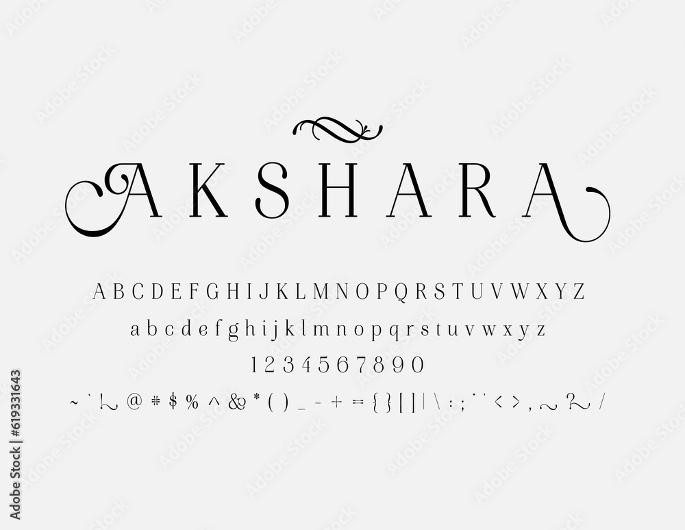 Elegant Font Uppercase Lowercase and Number. Classic Lettering Minimal Fashion Designs. Typography modern serif fonts regular decorative vintage concept. vector illustration Elegant Font Uppercase Lowercase and Number. Classic Lettering Minimal Fashion Designs. Typography modern serif fonts regular decorative vintage concept. vector illustration