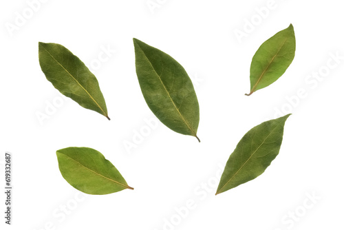 Foto Bay leaf set on a white background