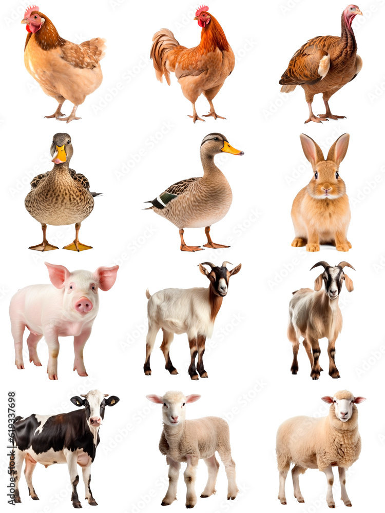 Collection of farm animals: hen, rooster, turkey, duck, rabbit, piglet, goat, cow, lamb, isolated on transparent

