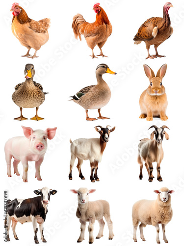 Foto Collection of farm animals: hen, rooster, turkey, duck, rabbit, piglet, goat, co