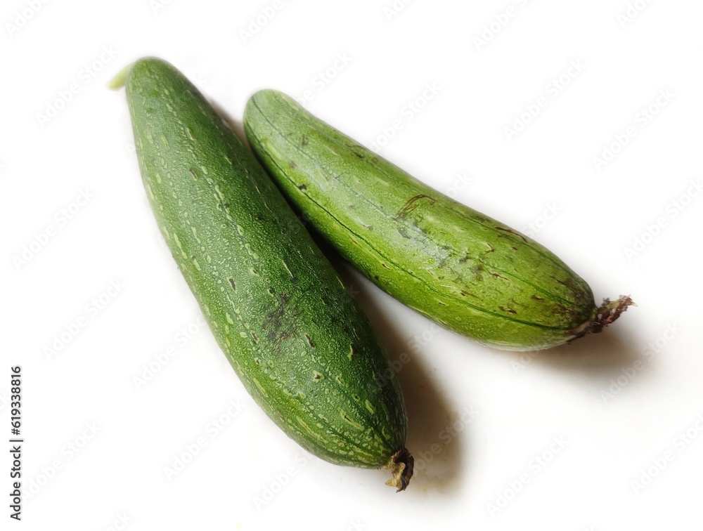 Sponge gourd is a vegetable native to South and Southeast Asia. It is also known as Egyptian cucumber or Vietnamese luffa. Scientific name - Luffa aegyptiaca. Sponge gourd is a vegetable native to South and Southeast Asia. It is also known as Egyptian cucumber or Vietnamese luffa. Scientific name - Luffa aegyptiaca.