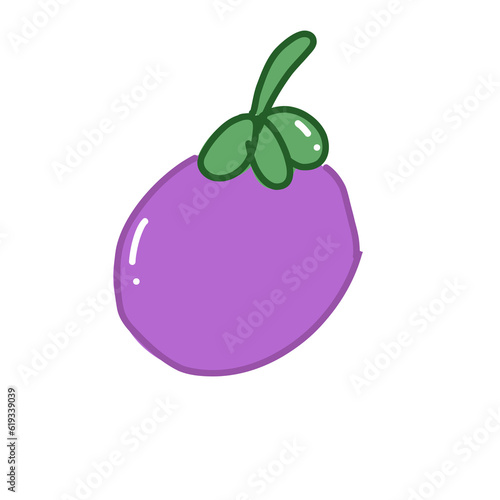 illustration of an mangosteen
