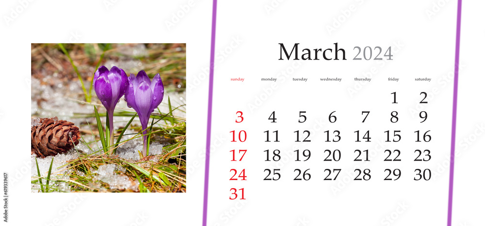 Set of horizontal flip calendars with amazing landscapes in minimal style. March 2024. Close up view of blooming crocus flowers. Splendid spring scene of first plants on the mountain glade. - obrazy, fototapety, plakaty 