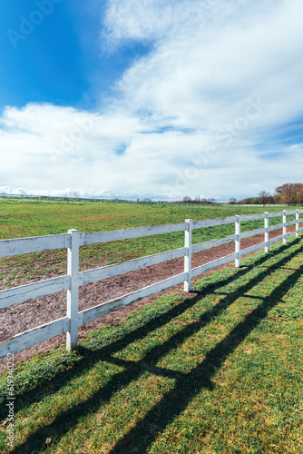 Horse paddock white wooden fence on equestrian farm on sunny spring day
