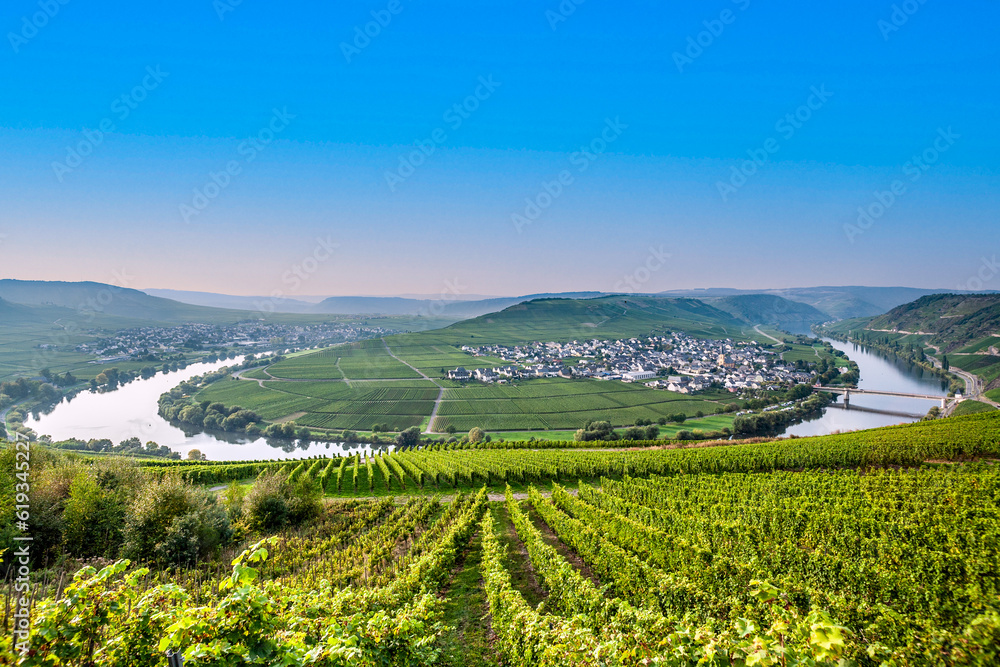 famous Mosel river loop with vineyards