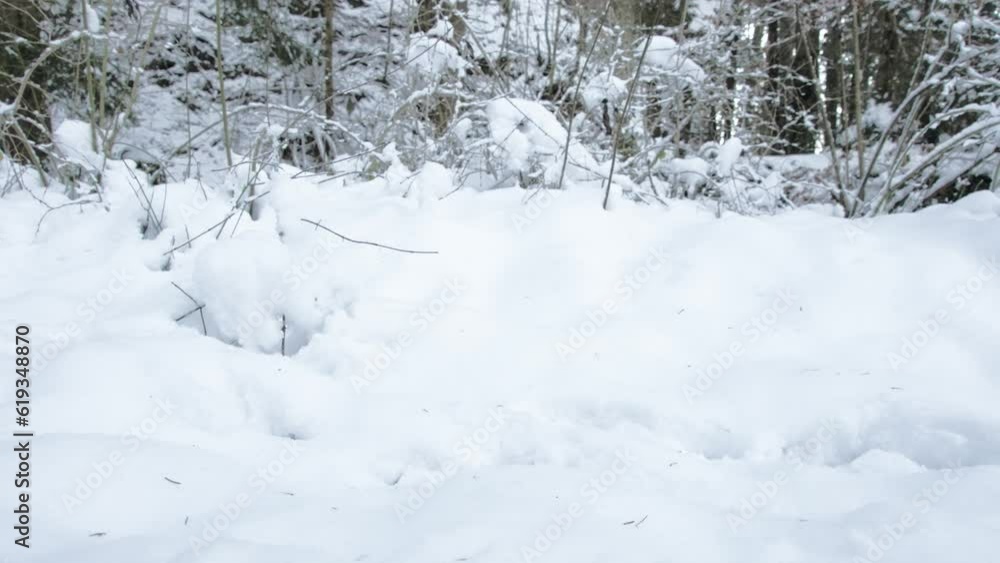 Ground-Level View of Person Running in Winter Boots in Forest With Thick Snow Ground-Level View of Person Running in Winter Boots in Forest With Thick Snow