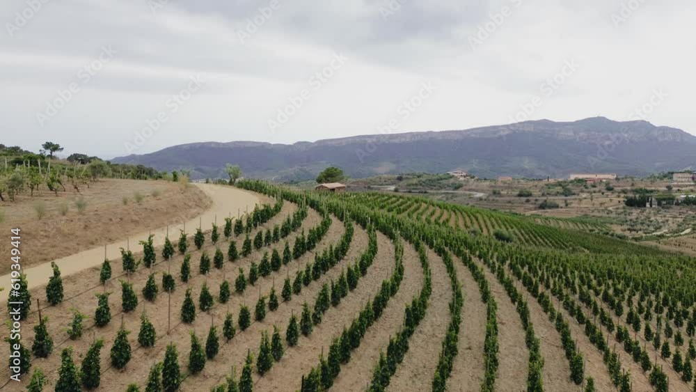 Aerial view of vineyards in the Priorat appellation of origin area in the province of Tarragona in Catalonia Spain Aerial view of vineyards in the Priorat appellation of origin area in the province of Tarragona in Catalonia Spain