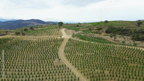 Aerial view of vineyards in the Priorat appellation of origin area in the province of Tarragona in Catalonia Spain