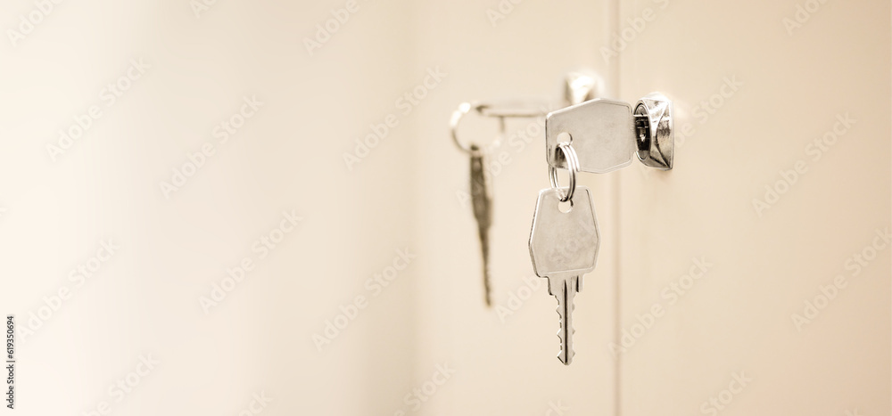 Lockers with keys in office. Secure lock system for safety document files in business office. Gym locker room. Lockers with keys in office. Secure lock system for safety document files in business office. Gym locker room.