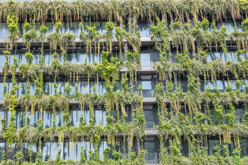 lust for green on modern facade, Stuttagrt, Germany photo