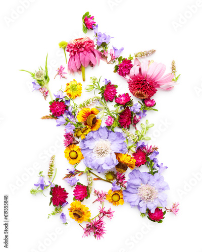 Summer blossom wildflowers isolated on white background. Floral texture backg...