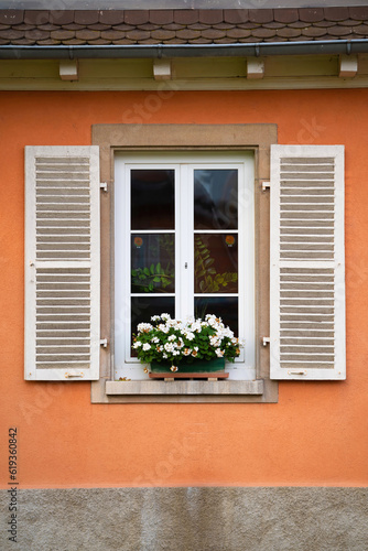 Residential building with a facade of windows and green plant covering. Located in a peaceful neighborhood.