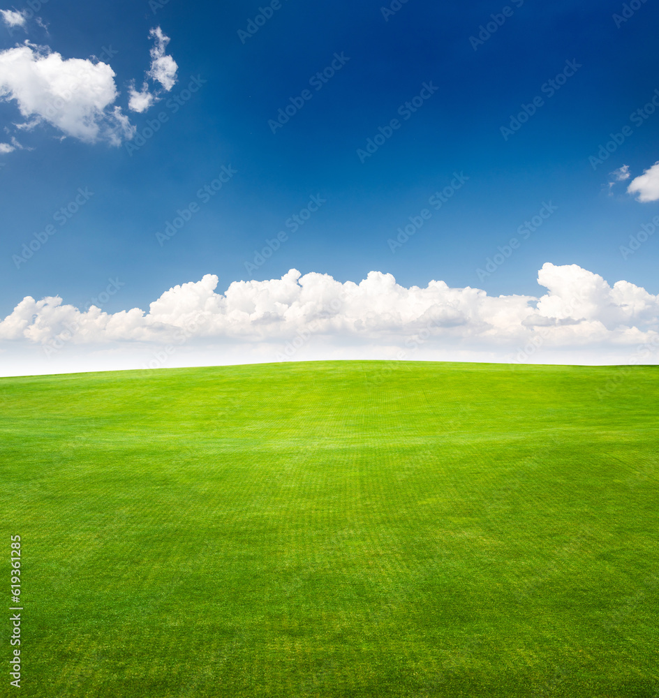 Fototapeta premium Landscape with green grass field under a blue sky