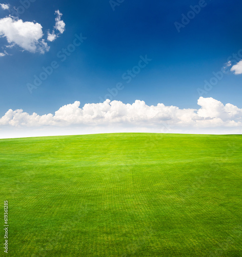 Landscape with green grass field under a blue sky