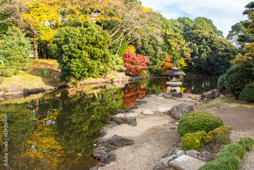 紅葉のリフレクションが広がる日本庭園
