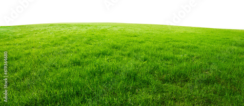 green grass field png