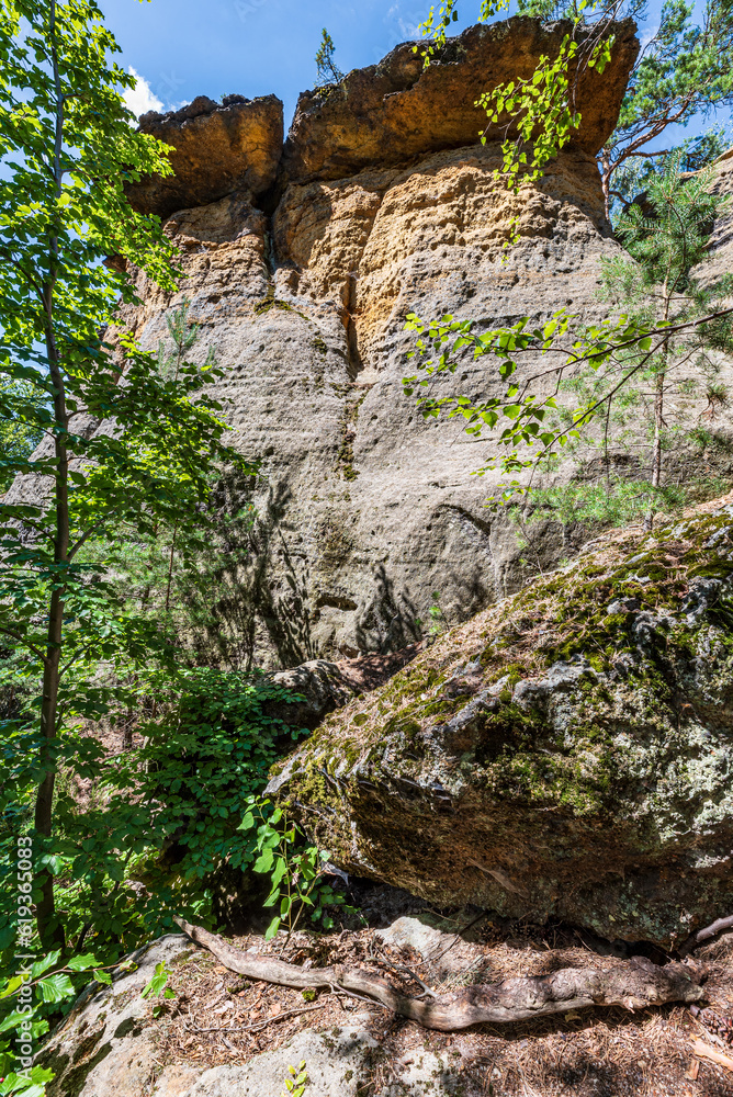 Poklicky rok formation in CHKO Kokorinsko - Machuv kraj in Czech republic