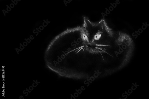 Single cat with big eyes isolated on black background. Hand drawn chalk picture with paper texture. Raster