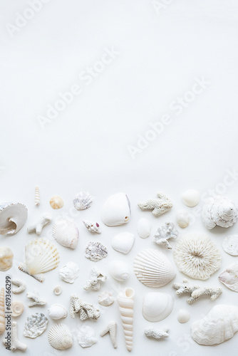 Seashells aesthetic layout. Monochrome summery background. © zhennyzhenny