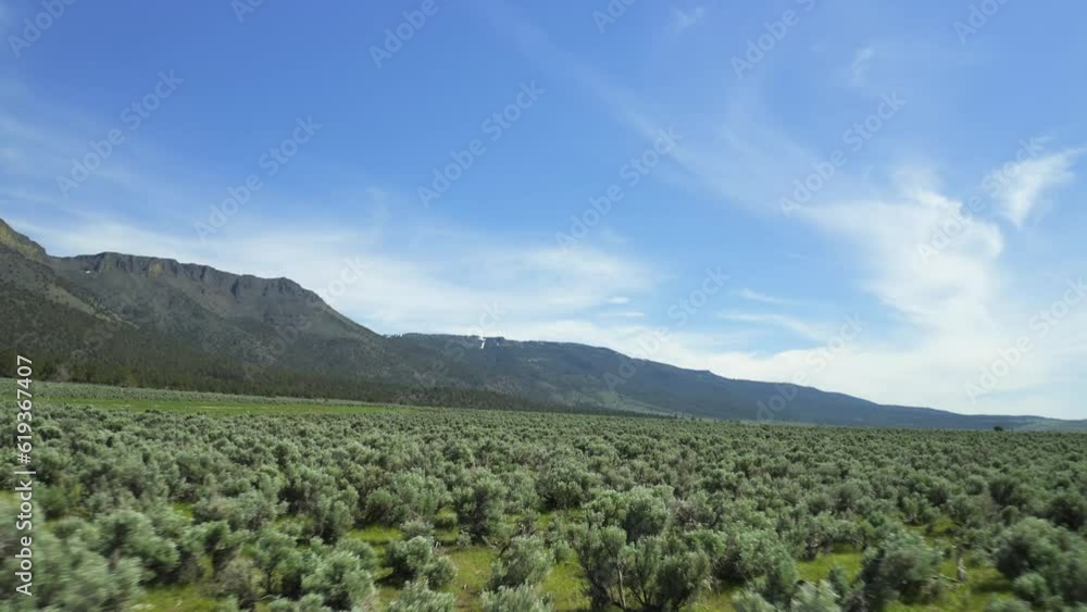 Fly Over Sagebrush Landscape In Desert Near Abert Rim In Oregon, USA. Aerial Drone Shot Fly Over Sagebrush Landscape In Desert Near Abert Rim In Oregon, USA. Aerial Drone Shot