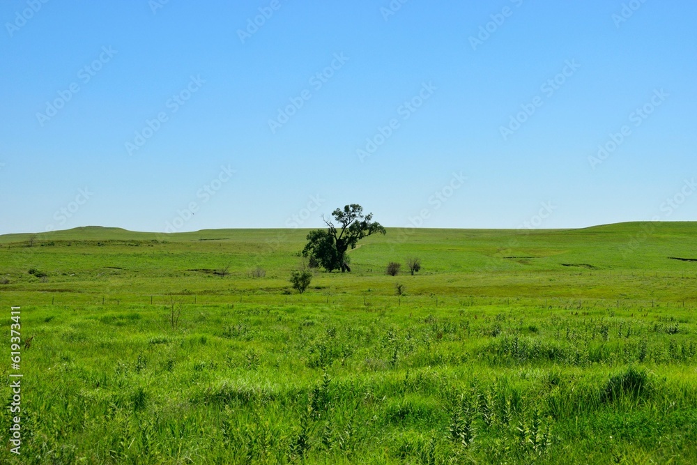 Scenic view of a lush green field with trees against a blue sky