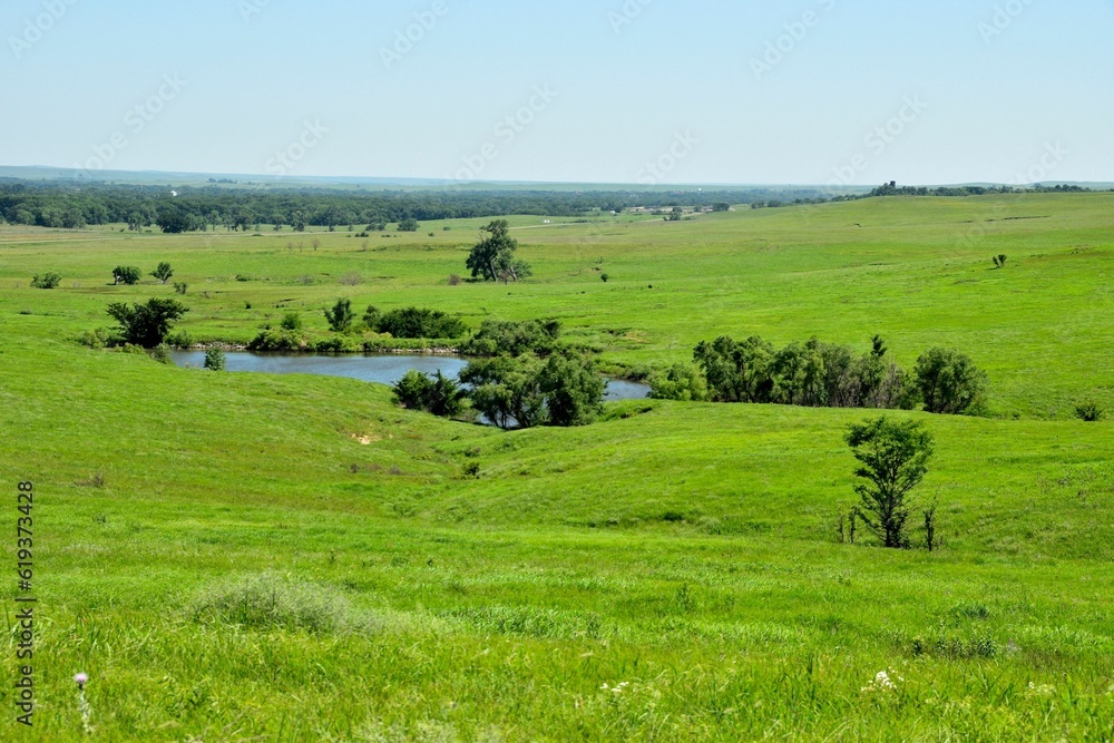 Scenic view of a lush green pasture with a little pond surrounded by trees and plants