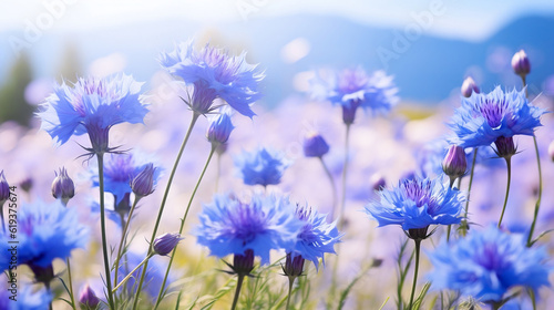 Natural Background with Cornflowers, Generative Ai