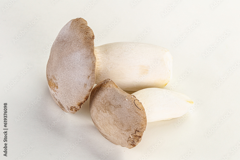 Raw Eringi mushrooms for cooking Raw Eringi mushrooms for cooking
