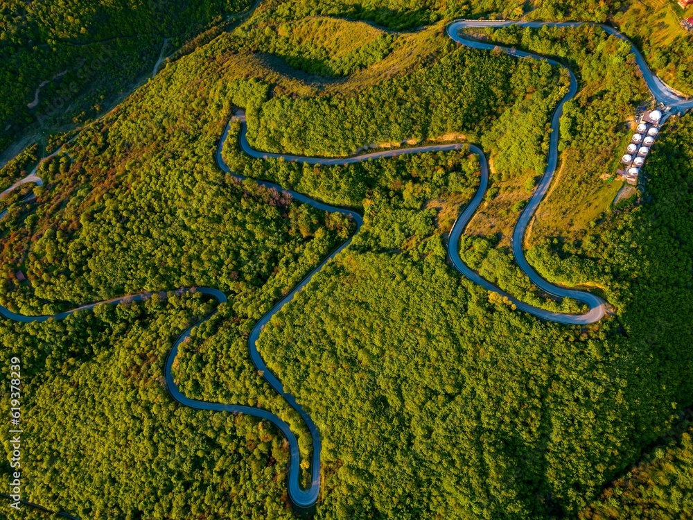 Obraz premium Aerial shot of a winding road surrounded by a lush green forest. Signagi, Georgia.