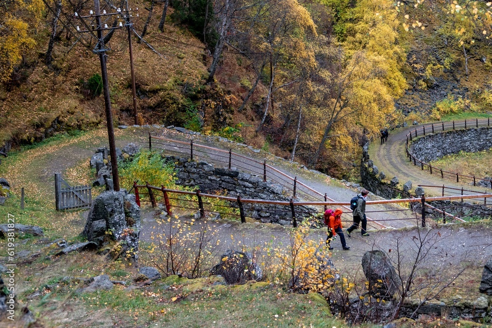 Naklejka premium Aerial view of people walking down a curvy path in a forest in autumn