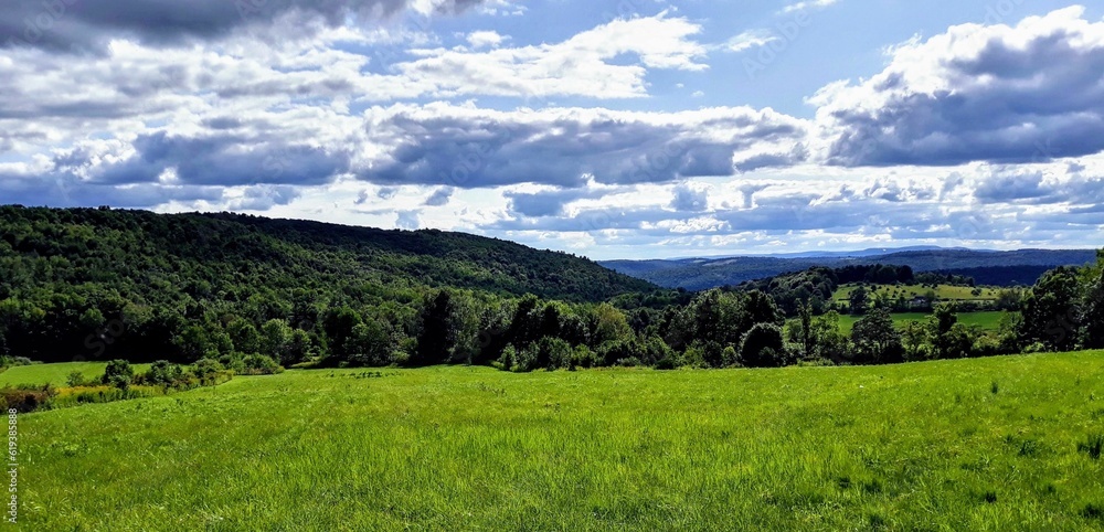 Lush, green field situated on a picturesque hillside, surrounded by a lush forest