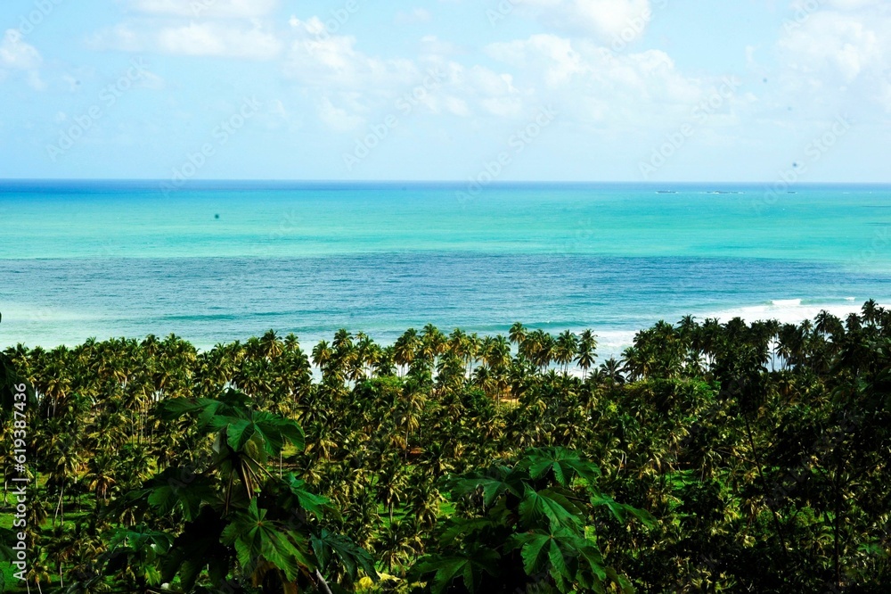 the ocean view through a tree lined area with tropical vegetation