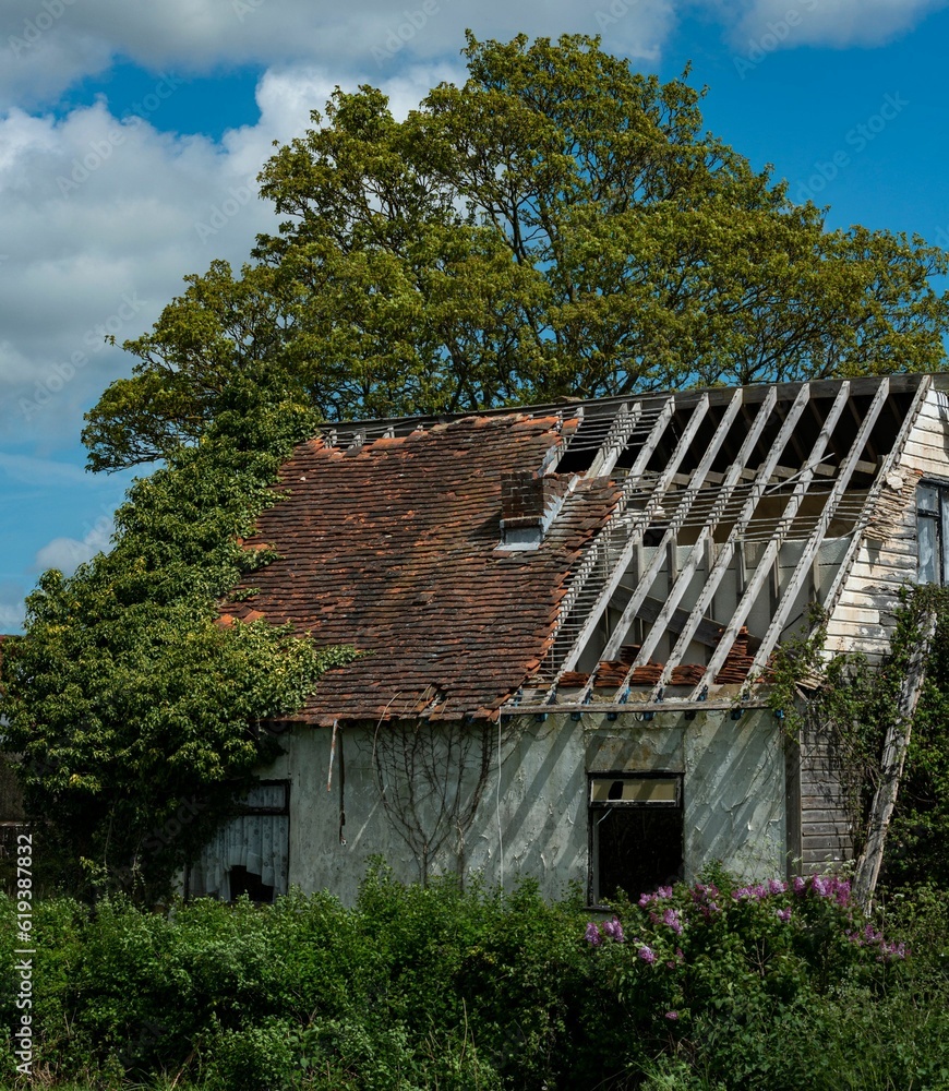 Aged wooden barn standing in a rural area amidst lush green grass in Romney, Marsh, Kent UK Aged wooden barn standing in a rural area amidst lush green grass in Romney, Marsh, Kent UK