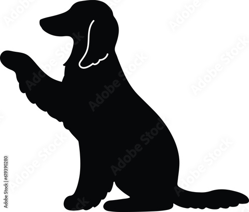 Silhouette of Afghan Hound shaking hands