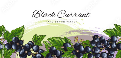 Black currant berry seamless border, hand drawn sketch vector illustration on white background.