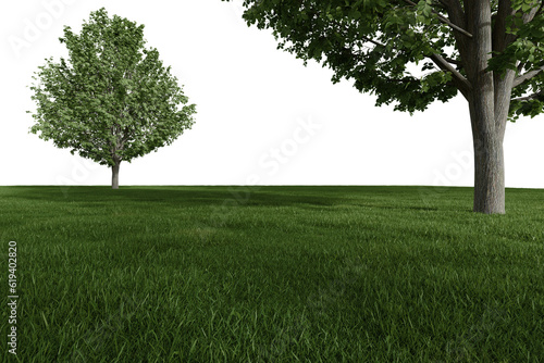 Realistic meadow with trees. 3d rendering of isolated objects.