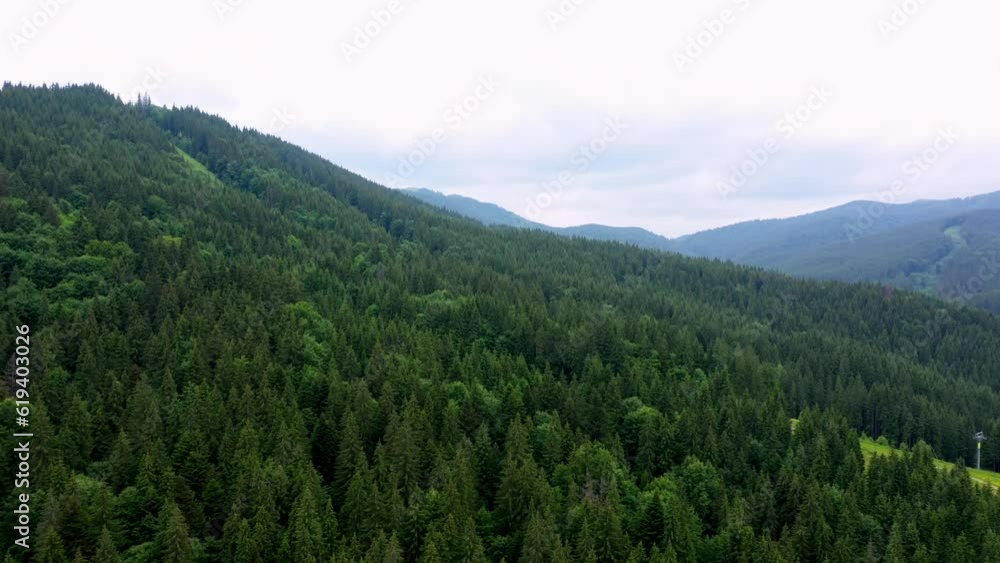 Mountain ridges with forests and mountain meadows against the cloudy sky in the Carpathian Mountains, view in spring overcast morning while panning Mountain ridges with forests and mountain meadows against the cloudy sky in the Carpathian Mountains, view in spring overcast morning while panning