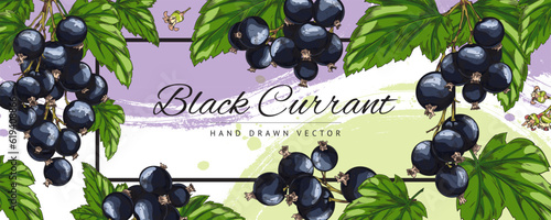 Black currant berries banner or food label design, sketch vector illustration.