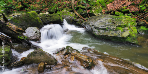 rocks in the creek. peaceful woodland landscape. purity in nature