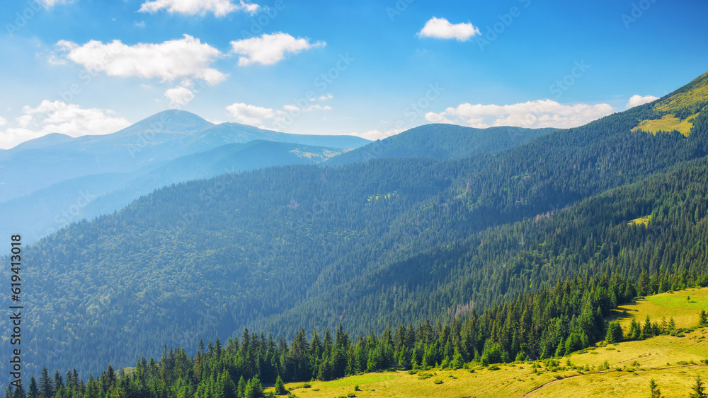 countryside mountain landscape. green meadows and forested hills. sunny morning in summer