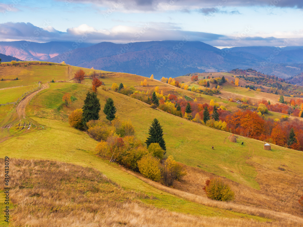 carpathian countryside at sunrise in autumn. rural fields and forested hill in morning light. distant ridge beneath s sky with clouds