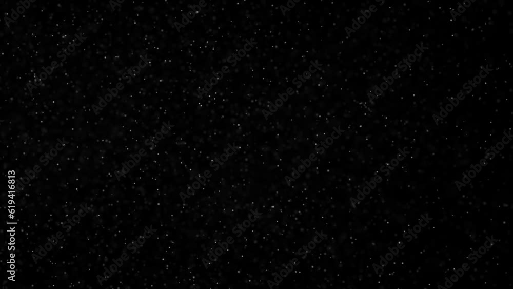 Black and White Abstract Particle Animation Black and White Abstract Particle Animation